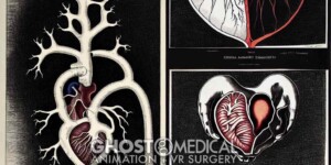 AI generated image of a human heart in the style of Albert Bierstadt and Aubrey Beard