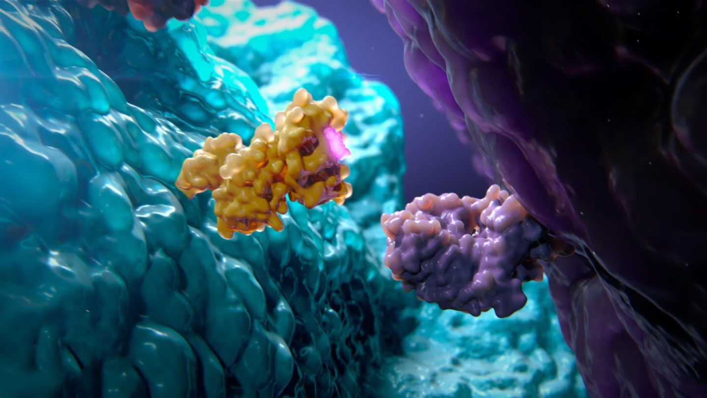 Medical Animation | Blog Search