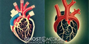 AI generated image of a human heart in the style of Wes Anderson