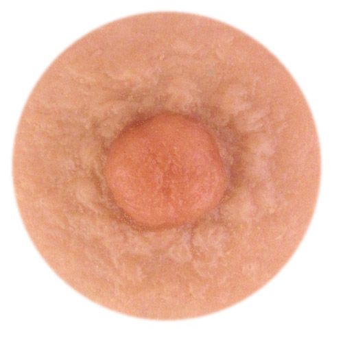Breast reconstruction prosthetic nipple