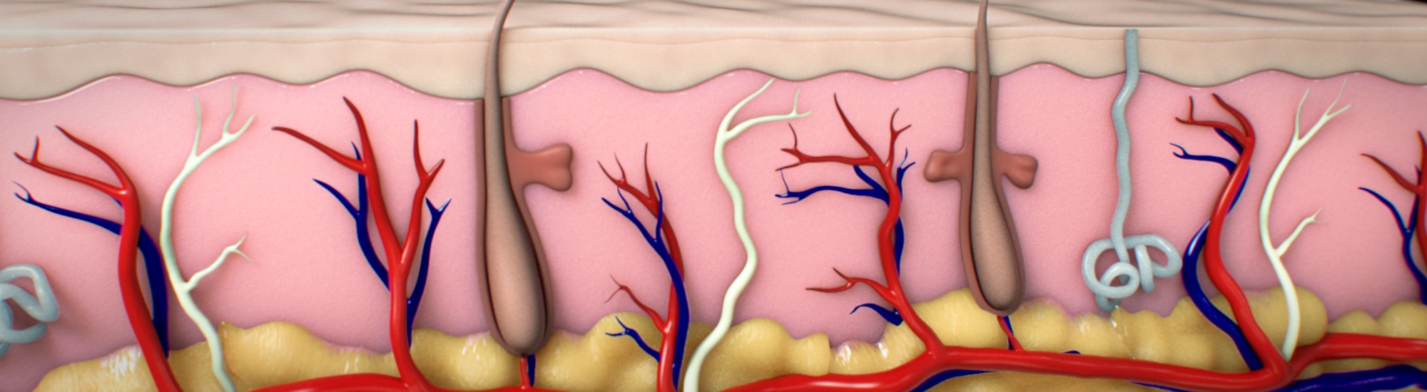 Discovering New Dermatology Products