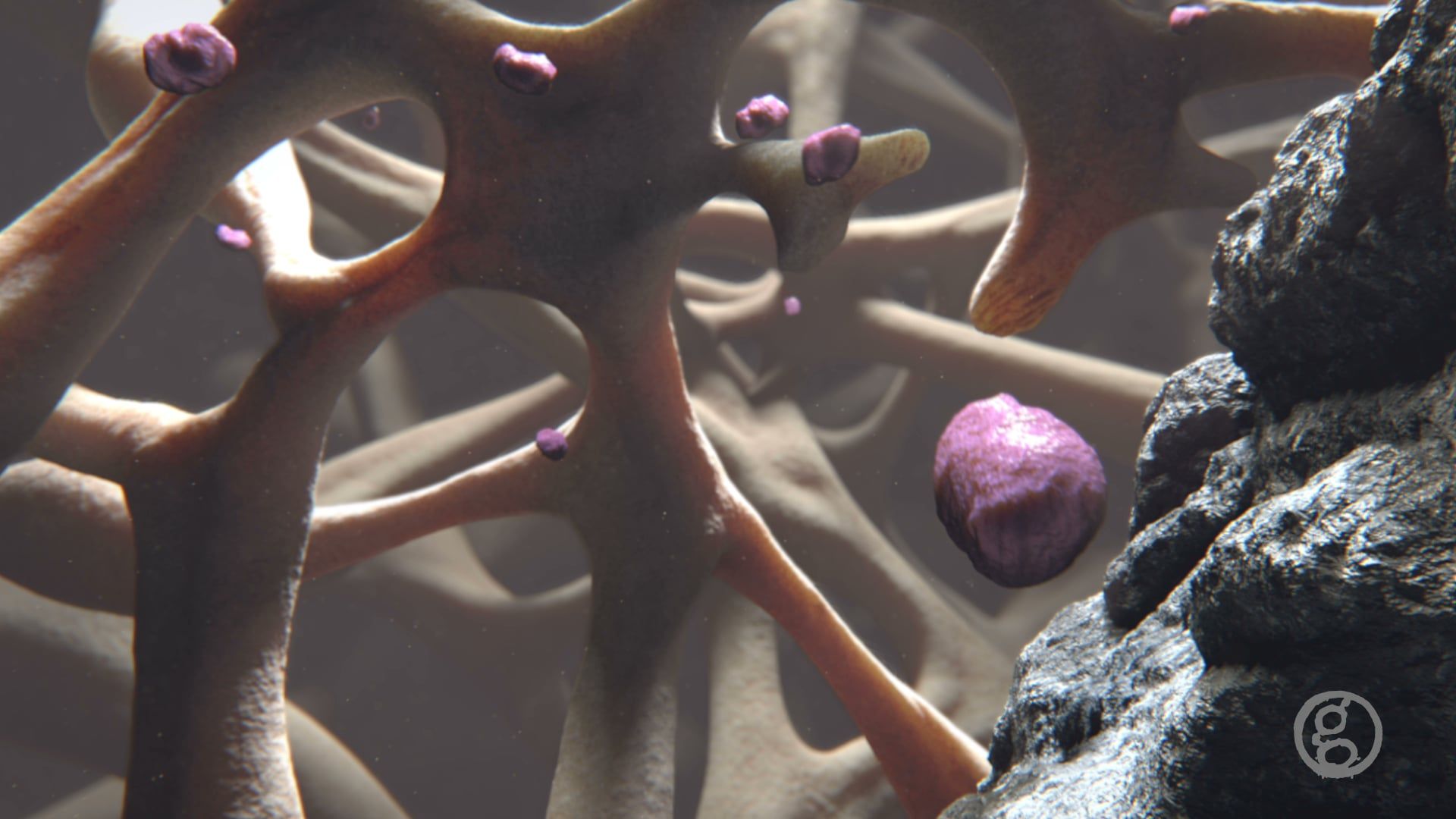 Ghost Medical's Osteogenics MOA Animation