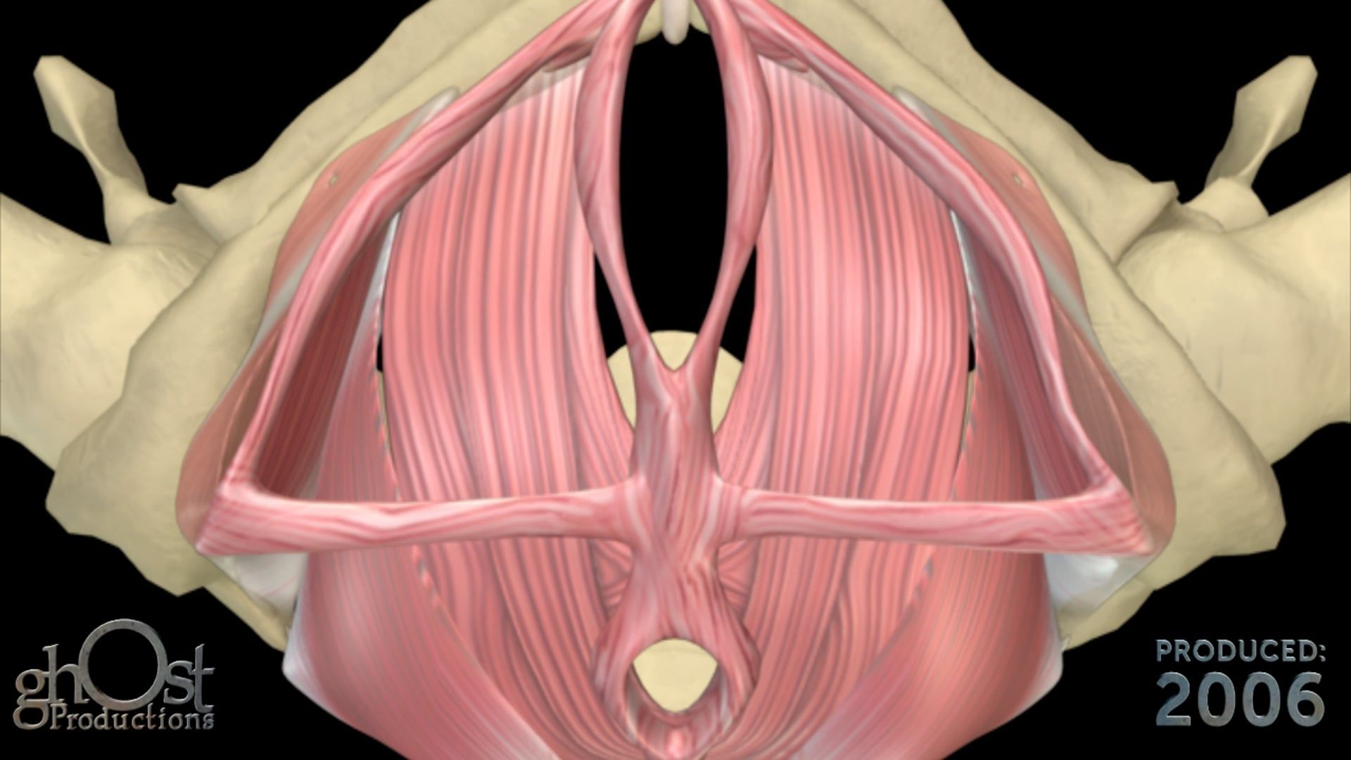 Kegel exercises, pelvic floor muscles, urinary incontinence, fecal incontinence, pelvic floor health, medical animation, Ghost Productions, Keathley, healthcare providers, patients.