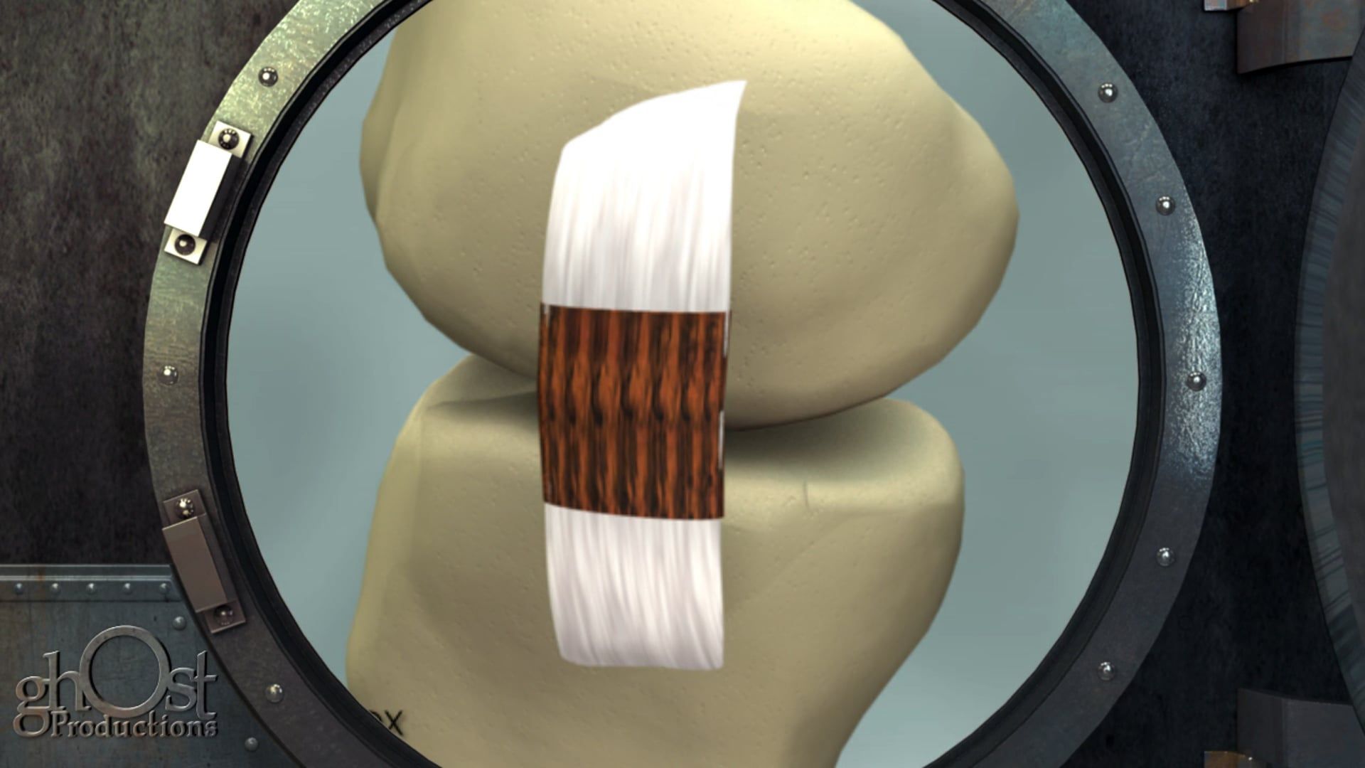 medical animation, MiMedx, collagen fiber, rotator cuff, digital flexor tendon, ACL, healing process, orthopedics, medicine