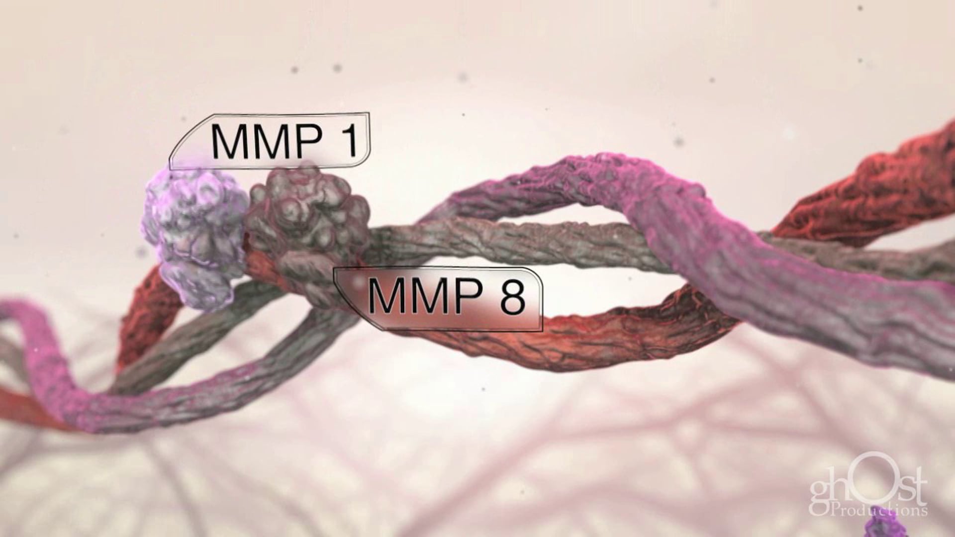 Ghost Medical presents: Hollister Endoform - Collagen Regeneration