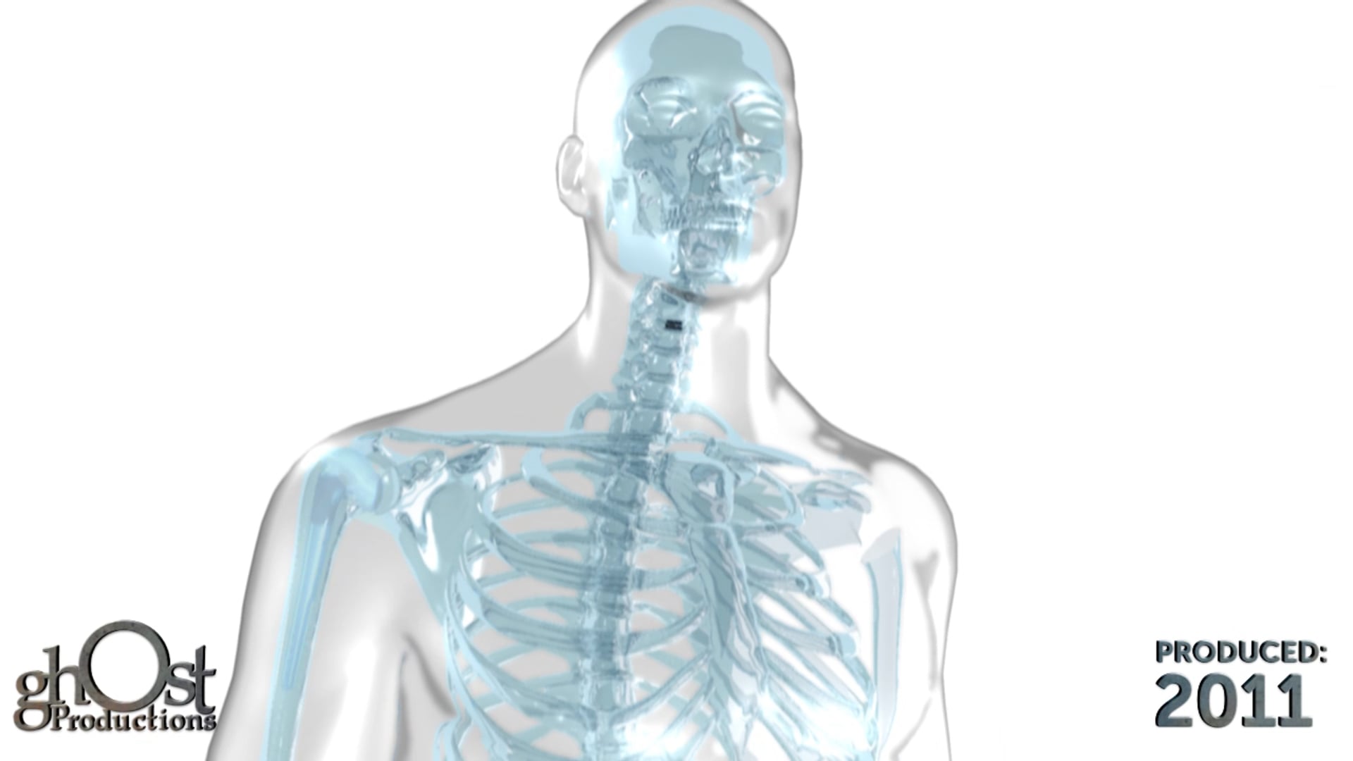Ghost Productions, medical animation, orthopedic implants, transparent spine, medical professionals, patients, intricate workings, impact on spine, leading client, orthopedic industry, innovation, excellence, patient education, valuable resource, complex world, spinal health.