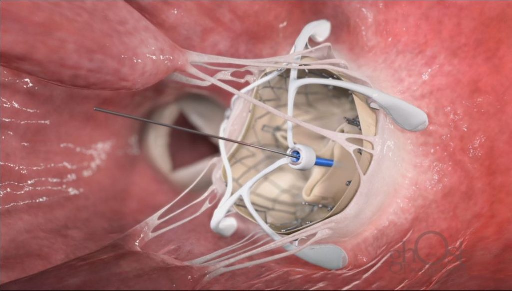 Healthcare Education