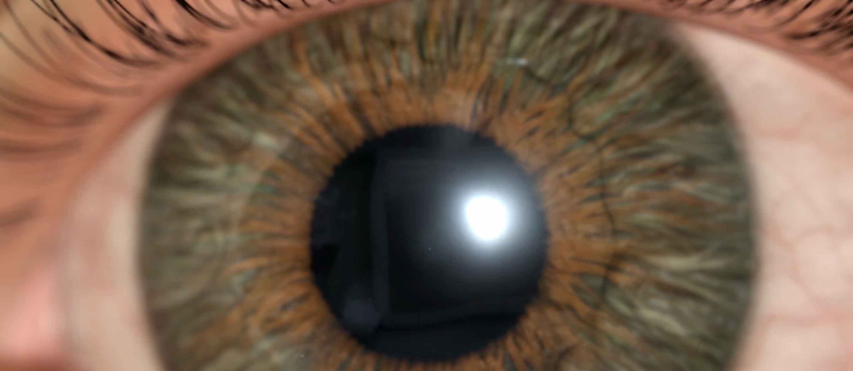 human eye, eye visuals, iris, pupil, photography, art, nature, medical specialties, ophthalmology, optometry, neurology, anatomy, physiology, Ghost Medical Animation, VR Surgery