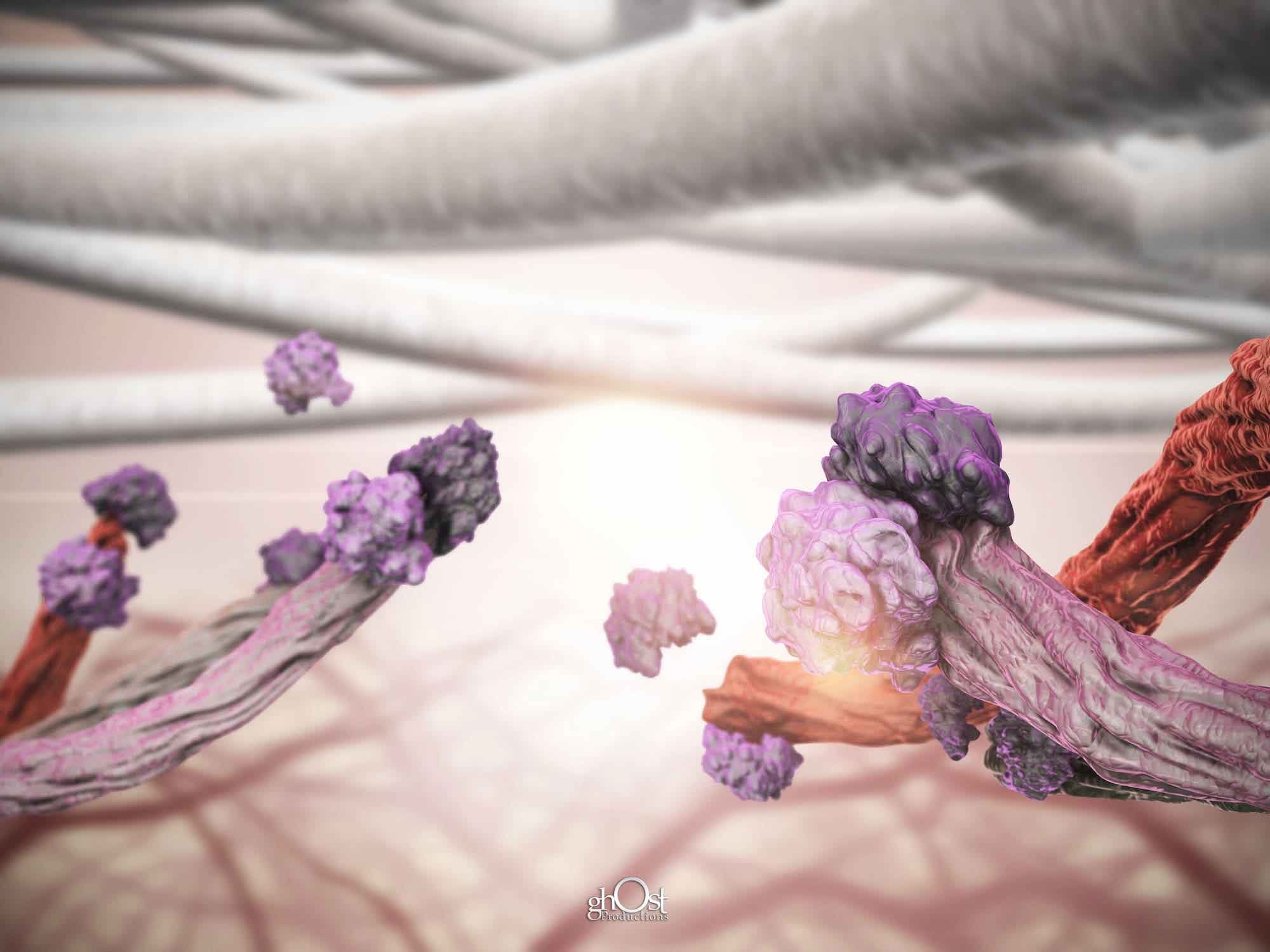 Medical illustration of Hollister Endoform, an extracellular matrix for wound healing. It provides a natural scaffold for cells to grow and regenerate, promoting tissue repair and regeneration. Contains collagen and essential proteins, reducing inflammation and scarring. Ideal for chronic wounds, burns, or surgical incisions. Try Hollister Endoform today for faster, more effective healing.