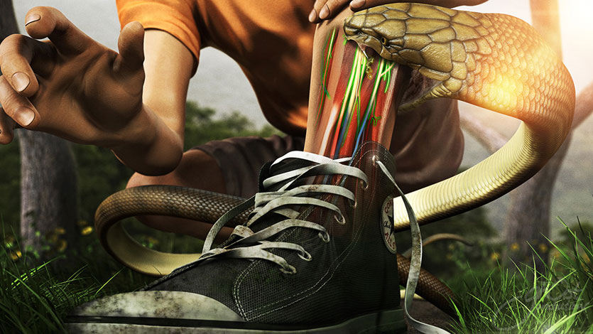 venomous snake, mouth open, scales, fangs, danger, fear, warning, potential dangers, encountering snakes, staying safe, informed, prepared, exploring nature, snake bites, essential tips, great outdoors, Ghost Medical Animation, VR Surgery, toxicology, emergency medicine, wilderness medicine, herpetology, zoology, wildlife biology, outdoor recreation, camping, hiking, survival skills