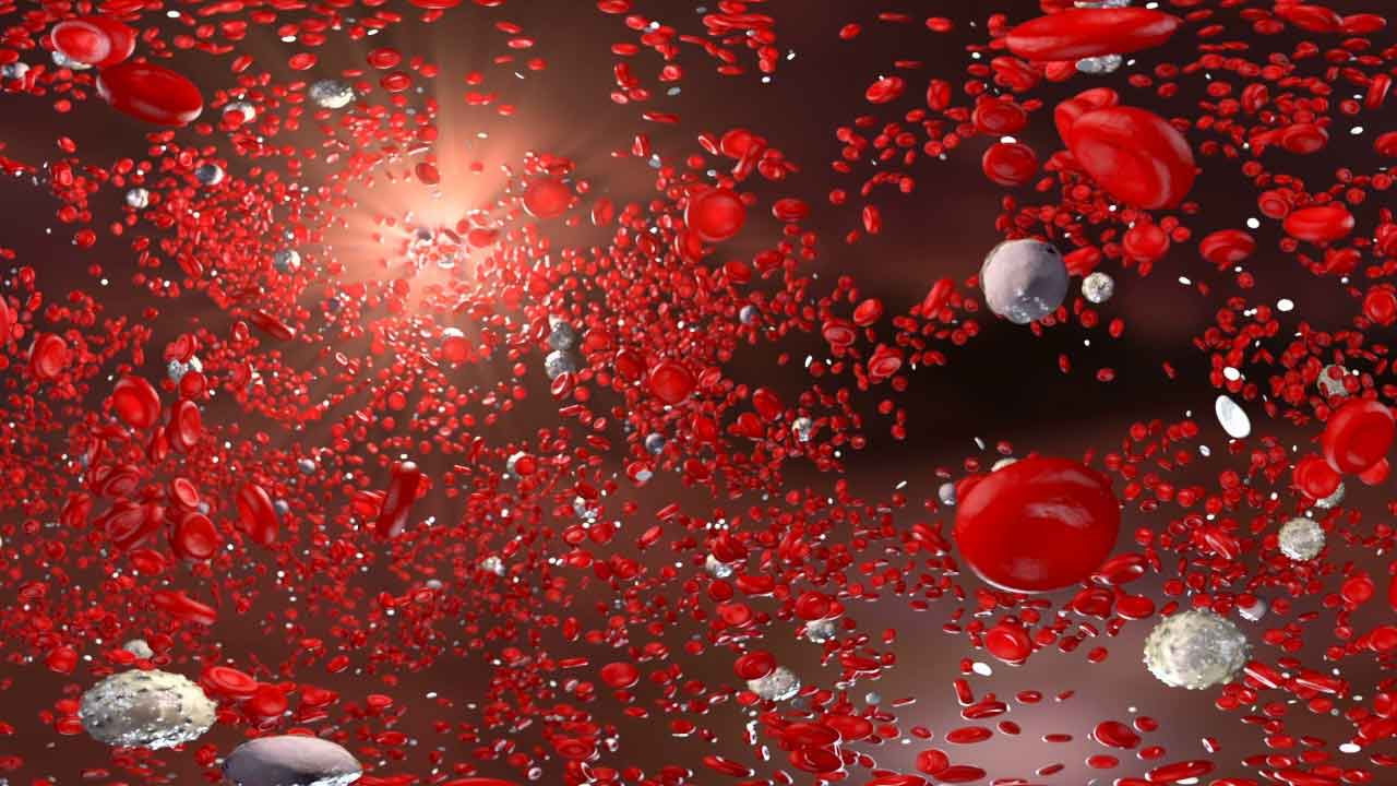 red blood cells, erythrocytes, white blood cells, leukocytes, platelets, blood cell functions, blood cell characteristics, blood cell types, blood cell illustrations, blood cell roles, blood cell health, medical specialties: hematology, immunology, oncology, cardiology, nephrology, pulmonology, endocrinology, neurology, gastroenterology, dermatology, rheumatology.