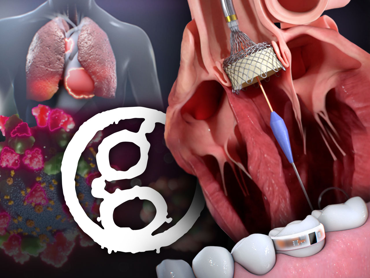 How to be a Medical Animator: A Complete Career Guide | Blog