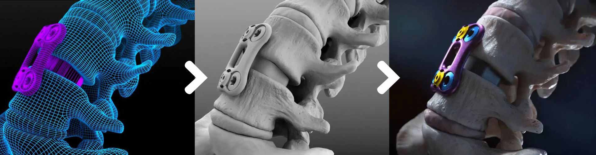 How to be a Medical Animator in 2023 Develop artistic and technical medical illustration skills