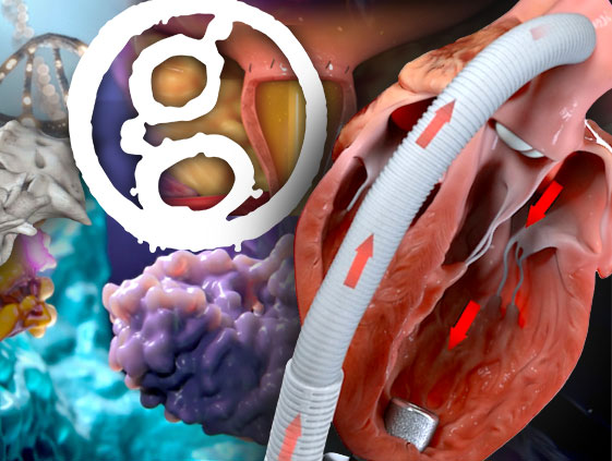 How to Become a Medical Illustrator showcasing various medical illustrations and medical visualizations