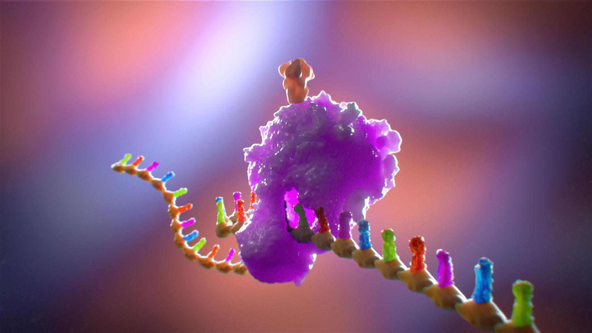 A visually appealing medical illustration Showcasing an artistic representation of an mRNA strand inside a cell, with ribosomes translating the mRNA and assembling spike proteins on the cell surface