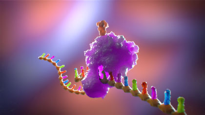 A visually appealing medical illustration Showcasing an artistic representation of an mRNA strand inside a cell, with ribosomes translating the mRNA and assembling spike proteins on the cell surface