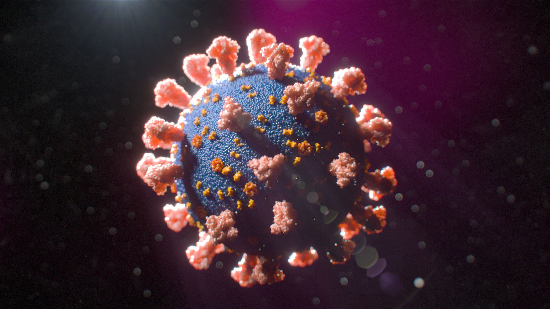 The SARS-CoV-2 is an enveloped, single-stranded RNA virus. It has a spherical or pleomorphic shape and possesses a distinct crown-like appearance under an electron microscope.