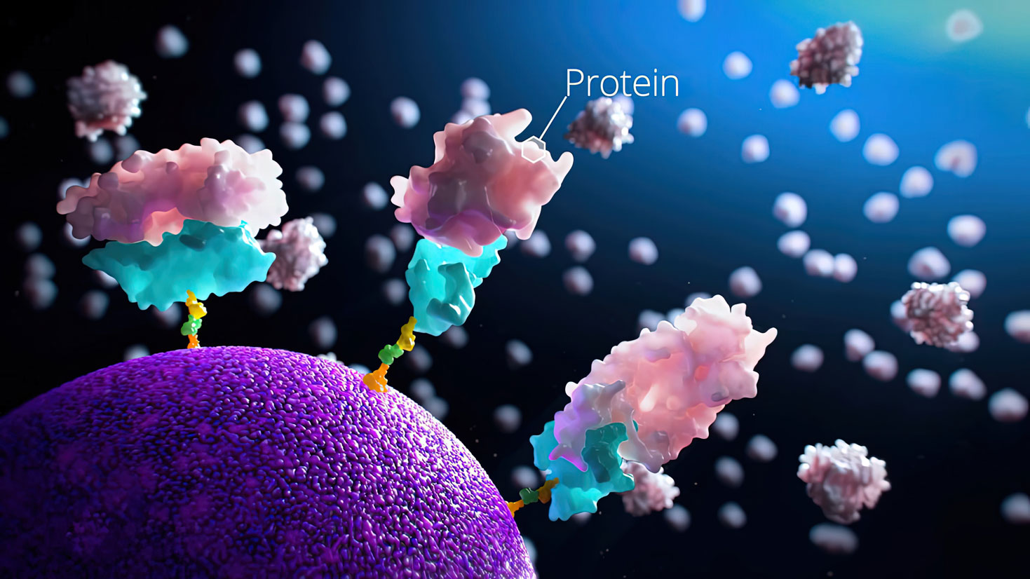 This animation showcases the SomaScan Assay, a technology that detects and quantifies proteins in living cells. It uses SOMAmer reagents to provide 7,000 highly reproducible measurements of circulating proteins from a single sample of plasma, serum, or urine. The SomaScan Assay can visualize proteins in live cells and is a valuable tool for medical and scientific animation. It is a game-changing tool in the field of protein analysis. Produced by Ghost Productions for SomaLogic.