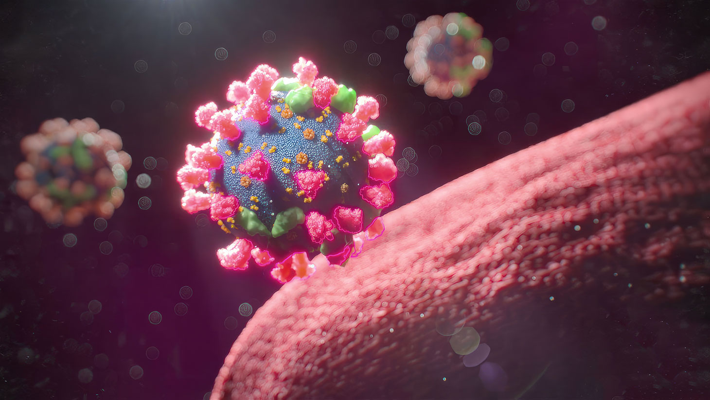 This medical illustration shows how mRNA vaccines work to build immunity against Covid-19. The image displays the process of delivering mRNA into muscle cells of the upper arm, which instructs the cells to produce a harmless protein called a spike protein found on the surface of the SARS-CoV-2 virus. The immune system recognizes these spike proteins as foreign and produces antibodies and memory cells to fight off the virus. The Covid-19 vaccine's effectiveness varies depending on the vaccine and individual, but most prevent severe illness and death.