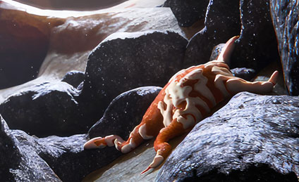 Osteogenics' illustration depicts osseointegration, the transformation of mesenchymal stem cells into osteoblasts during bone regeneration. The vibrant colors and intricate details bring the biological process to life. Valuable for medical and scientific databases, it visually represents stem cell research.