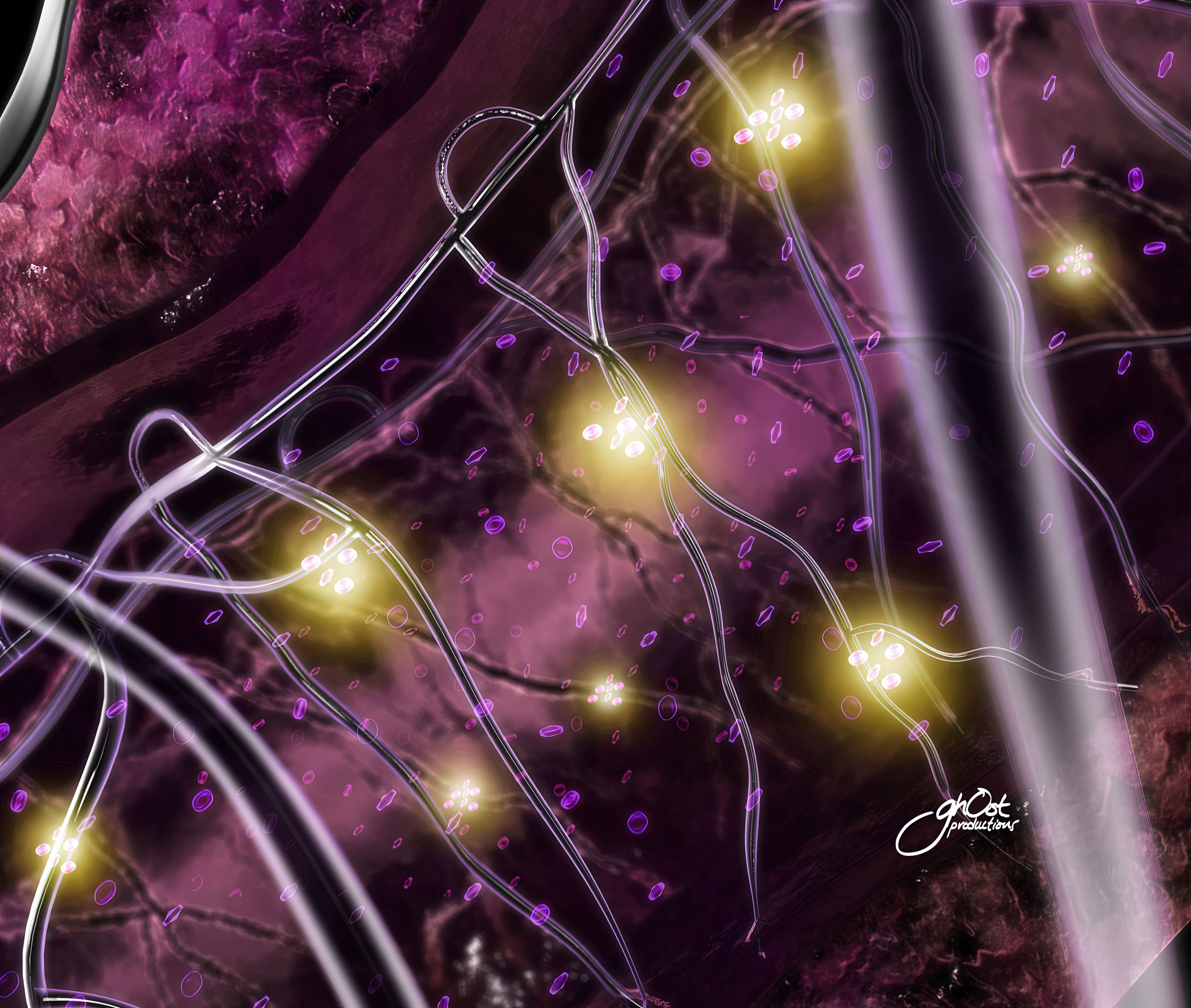 A medical illustration showcasing the advanced technology and ingredients behind Shiseido's skincare products. Experience the transformative power of Shiseido's nourishing and protective creams and serums for a flawless complexion.