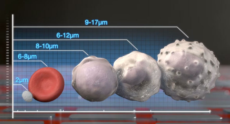 Discover the world of Sorterra with Ghost Medical Animation's captivating 2016 Pharma Animation for MicroMedicine . Dive into the innovative technology that Sorterra brings to the industrial scrap metal recycling and re-use industry, powered by state-of-the-art artificial intelligence, image/data analytics, and advanced sensors.